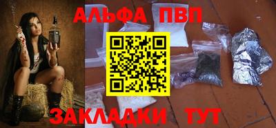 шишки Аргун