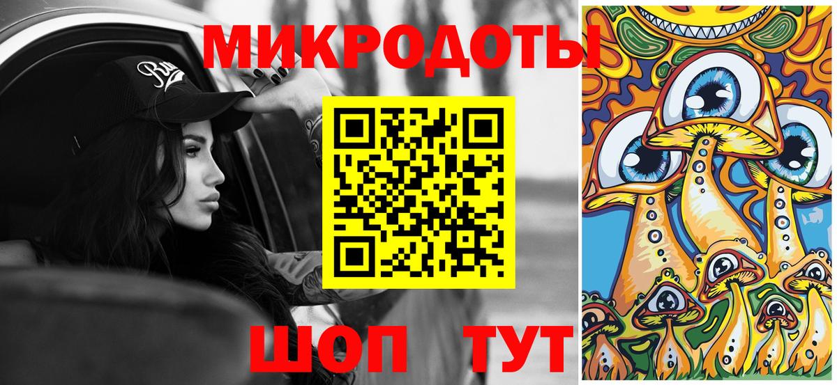 Псилоцибиновые грибы Psilocybine cubensis Ессентуки