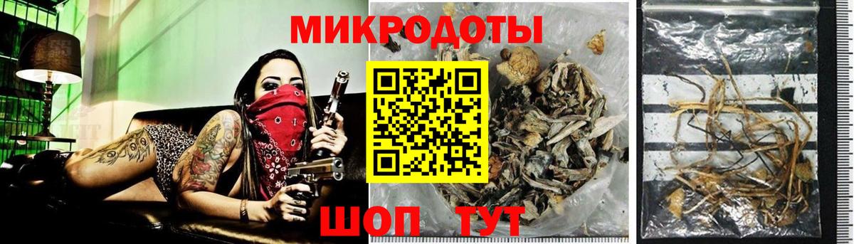 Галлюциногенные грибы Cubensis  Вход с VPN  Ессентуки 