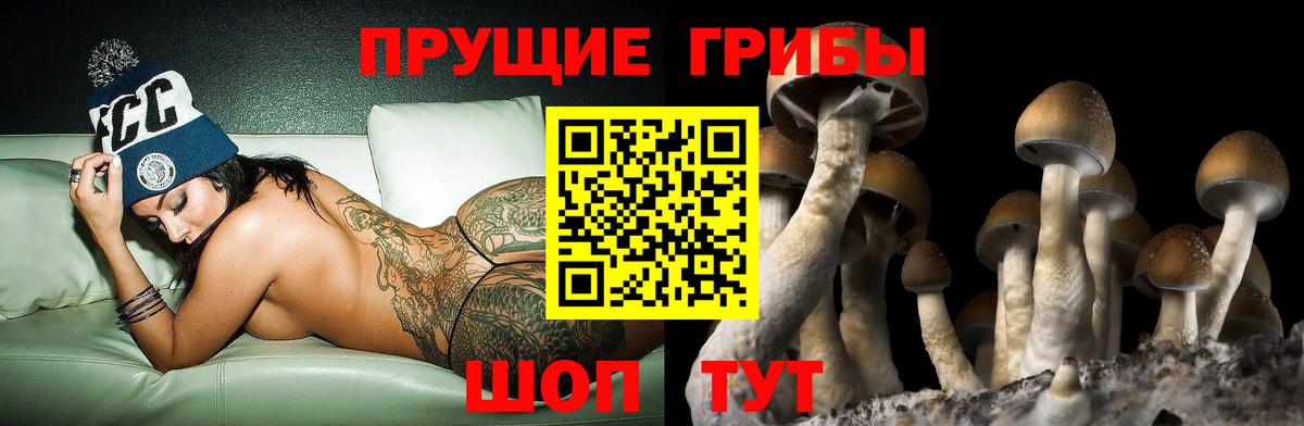 Галлюциногенные грибы MAGIC MUSHROOMS  Ессентуки  цены наркотик  Псилоцибиновые грибы ЛСД 