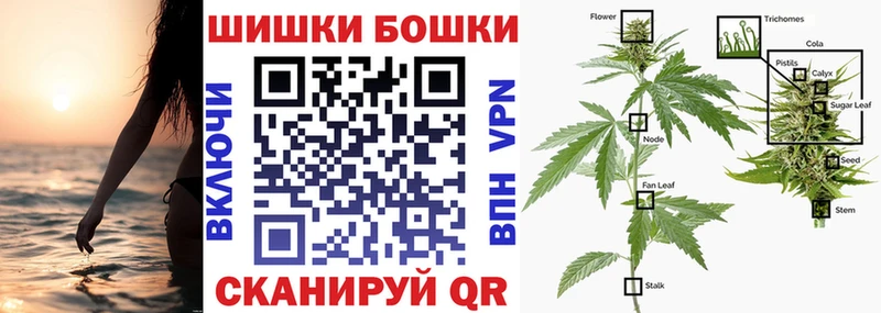 МАРИХУАНА семена Ессентуки