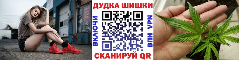 Бошки марихуана конопля  продажа наркотиков  Ессентуки 